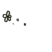 a black and white drawing of a flower